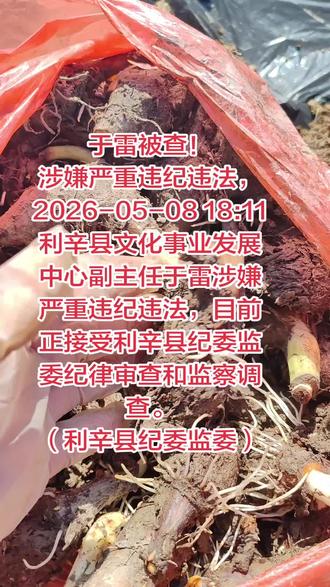 #安徽 #反腐倡廉 #反腐前沿