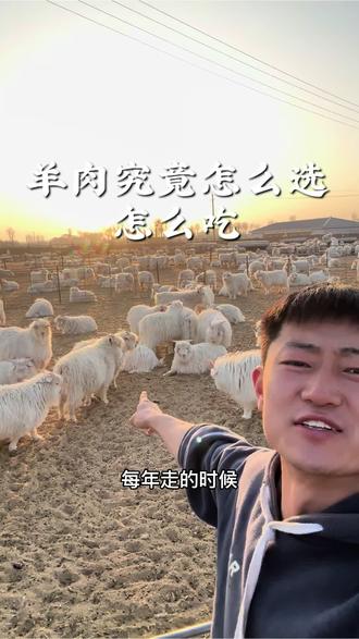 去新疆之前必须带走一只羊,不会选羊肉的,不会吃的,这条视频一定要记好#羊肉 #内蒙羊肉 #日常饮食小知识