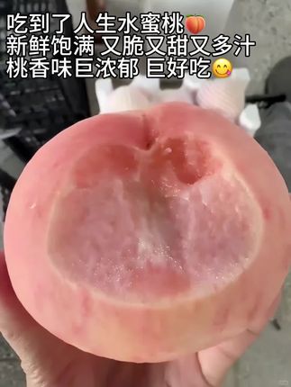 谁懂啊!这一口下去啥水果都不换!!!人生水蜜桃啊🍑桃香味超浓,脆嫩香甜,一口爆汁!!真的巨巨巨好吃! #桃子熟了 #又脆又甜 #新鲜应季水果#水蜜桃