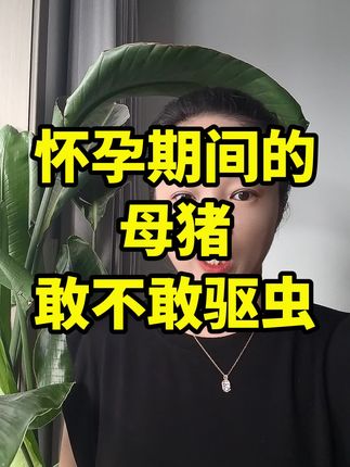 母猪驱虫