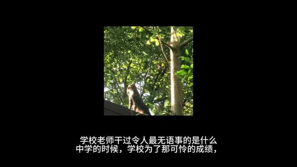 老师干过最无语的事(内容纯属虚构,请谨慎辨别)#中学时代 #初中生 #老师