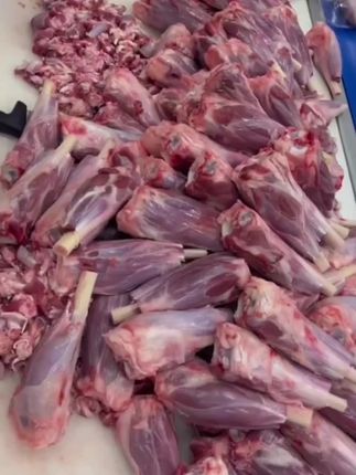 新鲜羊小腿#草原美食分享