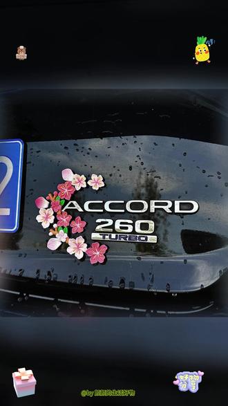 汽车创意网红尾标桃花贴3D立体贴汽车外观内饰装饰用品摆件 #车内装饰小饰品 #汽车好物 #车贴 #厉害了我的车 #超便宜超划算 @DOU+小助手 @巨量千川