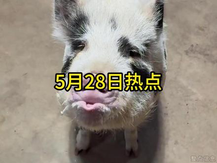5月28日社会热点信息差
#热点 #离谱