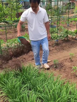 #强烈推荐 #有机种植 #优质农产品 #营养土 #种植小技巧