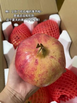 凭咱俩的关系 请我吃这个夏天的第一个石榴 不过分吧~#石榴 #夏天的第一个石榴