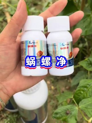 #蜗牛净 #三农种植 #农资肥料 #耕芭蜗螺净 庭院蔬菜果树花卉 大田 蜗牛 福寿螺 蛞蝓