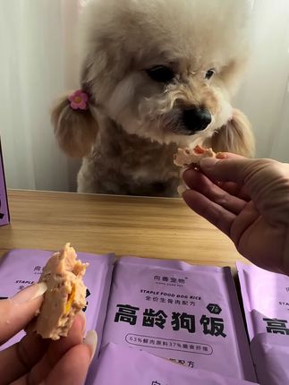 向善高龄狗饭,生骨肉配方,高蛋白低脂肪,好吸收易消化,家里有老宝贝的一定要试试。 三盒囤起更划算!#狗粮 #老年狗饭 #小狗饭