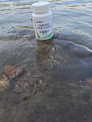 喂狗一片百虫铩,体内外寄生虫全不见,养猫养狗的朋友看过来#新手养猫#科学养宠攻略 #萌宠出道计划 #萌宠日常记录 #养狗的乐趣