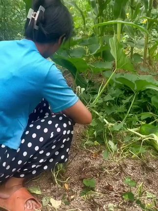 #油污净 #记录我的农村生活 #无限回购的宝藏单品