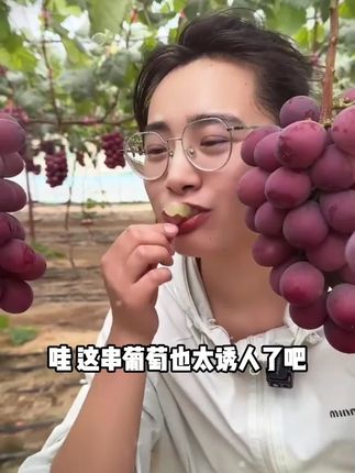 【顺丰包邮】妮娜皇后葡萄当季新鲜水果纯甜无籽红宝石