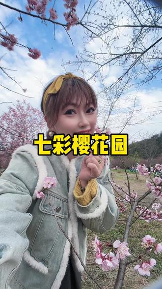 看樱花就来湘潭七彩樱花园!#赏花#我和春天有个约会 #春天你好 #樱花 #周末去哪儿