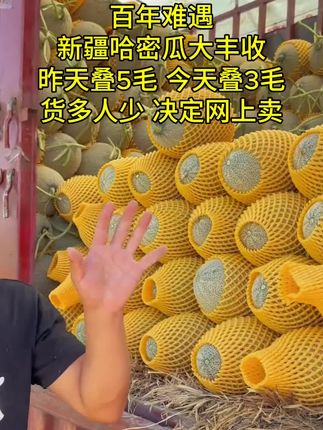 新疆哈密瓜大丰收啦!很便宜给您发一箱! #新疆哈密瓜#哈密瓜#蜜瓜#瓜#超级甜