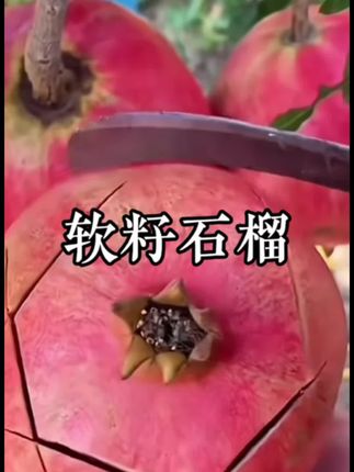 吃石榴不吐石榴籽的快乐谁懂?谁还没收到男朋友送的第一颗红石榴!#软籽石榴#石榴红了#石榴#快来一起尝个鲜 #应季水果