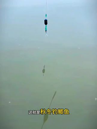 #立漂线组 #立漂双钩线组 #免调漂子线双钩 #免调漂立漂线组