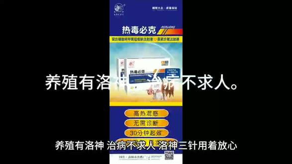 “养殖有洛神
治病不求人”
洛神三针,用着放心。主要成分:
A,高浓度复合型穿心莲注射液
B,复方磺胺间甲氧嘧啶钠注射液
C,10%恩诺沙星(工艺)注射液
使用时根据不同情况
组合:A+B 、A+C、 B+C或A+B+C任意混合注射
- 适应症:
- 腹泻、发热咳喘、关节肿大、厌食不吃、脑炎消瘦炸毛、免疫力低下、应激继发症等
- 圆环病毒、轮状病毒、诺如病毒、-沙门氏菌、大肠杆菌、绿脓杆菌、副嗜血杆菌、链球菌、巴氏放线杆菌、肺炎球菌、血虫等
- 猪:温和型猪瘟、蓝耳病(变异性)、圆环病毒、流感病毒、伪狂犬病、附红细胞体病、链球菌病、猪丹毒、猪肺疫、巴氏杆菌感染、弓形体病、副猪嗜血杆菌病。
-牛羊:小反刍兽疫、羊快疫、牛流行热、烂肺病等。
- 其他:由细菌或病毒引起的重症混合感染,症状包括高烧(39.5~42℃)、食欲减退、呼吸急促、皮肤发红/发绀、便秘或腹泻、关节疼痛、卧地不起等。
药理作用
1. 双重抗菌机制:
- 磺胺间甲氧嘧啶钠通过阻断细菌的二氢叶酸合成酶和二氢叶酸还原酶,抑制叶酸代谢,增强抗菌活性。
- 恩诺沙星通过抑制细菌DNA旋转酶,干扰DNA复制,杀灭病原体。
2. 抗病毒协同作用:两两药物混合后形成螯合体,可破坏病毒囊膜及核酸(DNA/RNA),对病毒性疾病(如蓝耳病、圆环病毒感染)有辅助疗效。
3. 长效广谱:一日一次即可维持药效,适用于重症混合感染。