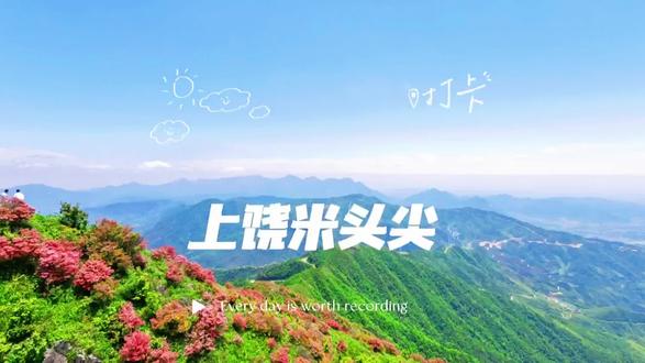 免费!上饶米头尖,露营看银河,日出云海免费看,横峰第一高峰米头尖,五月的映山红,直接导航上饶米头尖,我回鹰潭了,放不了定位#高山杜鹃花海 #鹰潭周边游#米头尖 #风车