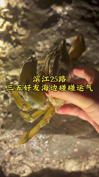 滨海25路碰碰运气去 #创作者伙伴计划 #赶海 #抓螃蟹 #远嫁日常 #真实生活分享计划