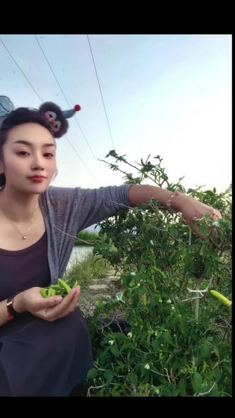 19岁的狂, 20岁的奥, 30岁的干啥都低调为了生活低头 ,为了生意不断成长,做事咱得有勇有谋 #乡村生活 #新农人计划