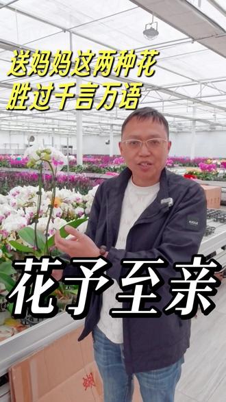 母亲节,就送妈妈这两种花。愿她笑口常开,祝她岁岁无忧 #母亲节 #母亲节礼物 #用花语说爱你 #蝴蝶兰 #石斛兰