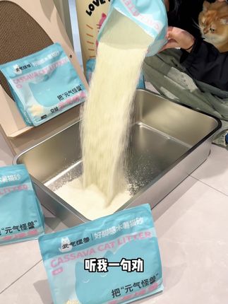 听我一句劝!木薯砂千万别买贵了#猫砂测评 #猫砂推荐 #养猫新手 #新猫到家 #木薯砂