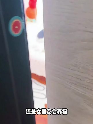 宠物毛发打薄神器去浮毛弧形刀头马卡龙简约开结梳打毛刀#好物推荐🔥 #宠物好物 #刮毛器 #宠物知识 #梳毛