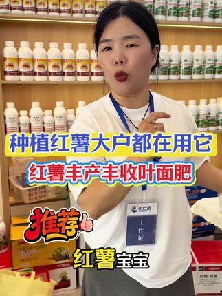 红薯宝宝你还在担心买到假货吗? #红薯种植 #红薯高产 #红薯宝宝 #厂家直发品质保证 #沃巴盾农业
