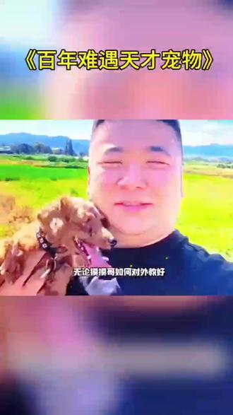 百年难遇天才宠物 #视频解说 #搞笑