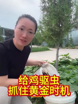 给鸡驱虫#农村养鸡人