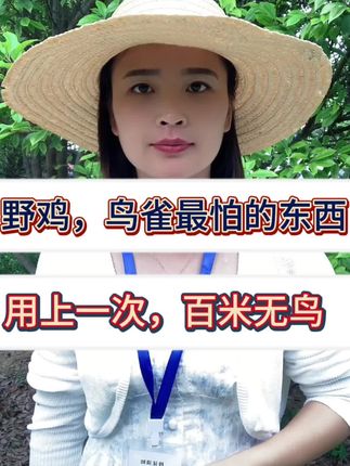 #驱鸟#鸟害#驱鸟神器