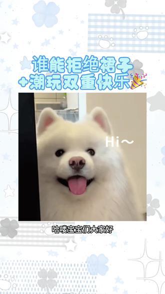 每条小裙子配齐专属潮玩小礼物啦🎀
层层挑选 全部敲定完毕
颜值氛围感双双在线
买美裙直接带走可爱潮玩
满满诚意只给我的宝子们~#尊嘟熊原创jk制服#不愧是jk#jk穿搭#原创jk