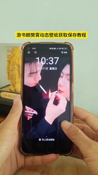 游书朗樊霄动态壁纸教程来了#游书朗樊霄 #动态壁纸设置教程 #教程来了 #游主任 #游书朗