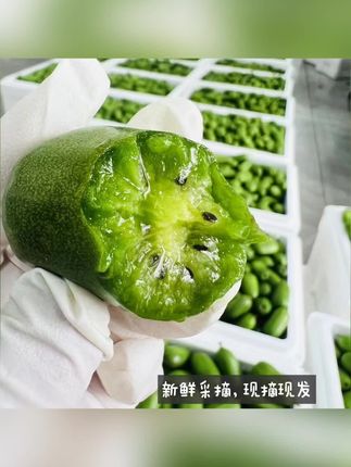 丹东软枣猕猴桃#猕猴桃 #零食推荐 #零食 #水果 #好物推荐🔥
