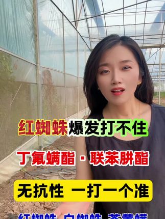 #农业主播周玲 #红蜘蛛 #丁氟螨酯联苯肼酯 抗性红蜘蛛新成分无抗性就用它