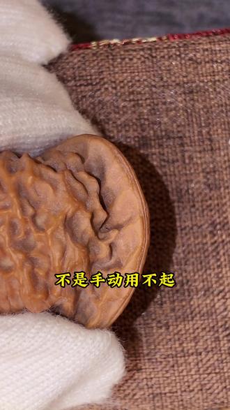 不是手动用不起,而是电动更有性价比! #文玩爱好者 #文玩核桃 #电动文玩刷 #盘它就完了