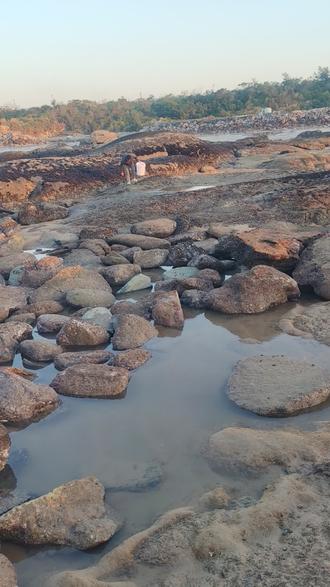 今天退大潮,快来!赶海了