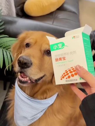 #新手养宠 #养狗经验分享 肠胃宝猫咪狗狗通用高活调理猫用猫咪益生菌#养猫新手 #养宠知识 #养猫小百科