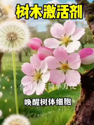 树木激活剂大树营养剂移栽树木枯萎叶子发黄半死不活的都可以用#树木激活剂 #三农种植 #树木管理