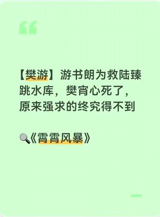 🔍《霄霄风暴》#樊霄 #游书朗 #ooc致歉 #同人文 #樊游