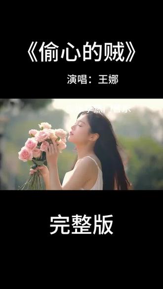 《偷心的贼》