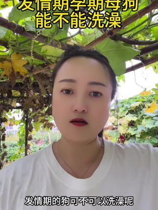#知识分享 #狗狗#狗#母狗
