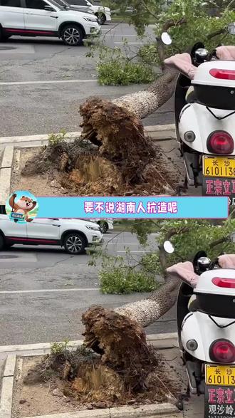 原来湖南还有台风啊🤡#自然灾害 #台风