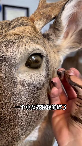 四个低成本变美秘籍,学会年前悄悄逆袭! #中医 #变美小技巧 #抖出健康知识宝藏 #我的年度健康盘点 #女生必看