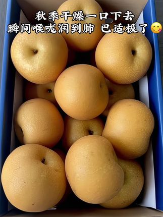 等了一年的秋月梨,一口下去满嘴都是清甜的梨汁!心心念念的秋月梨终于来了!太太太水润了!又大又甜!一太满足了!#新鲜采摘 #应季水果 #梨 #强烈推荐 #秋月梨