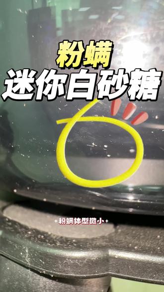 家里好多小小一点点的白色虫子,这是粉螨,也就是米蛘虫,主要是潮湿闷热的环境下最容易滋生这种虫子,正所谓虫子滋生都是有源头的,并不会说虫子直接凭空出现,粉螨体型微小,通常只有0.9~1毫米之间,肉眼看上去就像是一个小白点一样,为什么你家里到处喷了杀虫剂还是有粉螨出现,归根到底没有找到虫源并丢弃处理掉,粉螨繁殖速度极快,要想彻底的解决粉螨,开窗通风保持室内干燥避免再次滋生,其次是粉螨专用杀虫剂,喷洒在虫子经常出现的地方,药剂无色无味放心使用#粉螨#粉螨怎么办#粉螨杀虫剂#粉螨喷雾#粉螨咬人吗