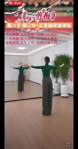 《一剪梅》第八节慢口令+正背面原速带练 教学:盼雨老师