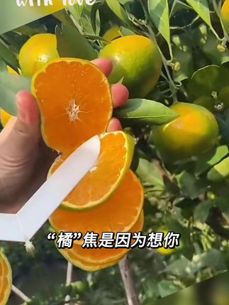 #蜜橘🍊 #蜜橘 #橘子 #水果 #云南蜜橘