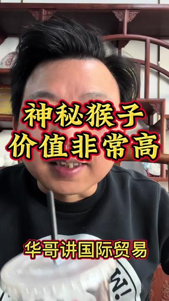 别以为只是普通的猴子,它暗藏着财富密码#创作人计划 #食蟹猴 #知识分享 #外贸人