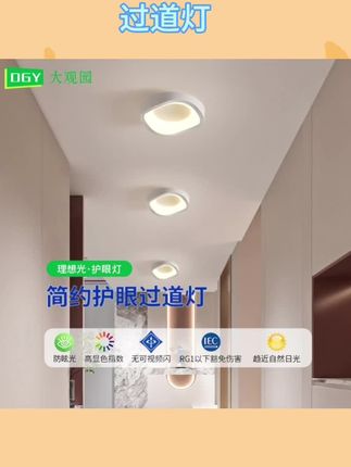 过道走廊灯简约现代入户玄关天花灯吸顶灯北欧衣帽间阳台灯具#灯具 #灯饰照明 #灯具搭配 #家居灯饰 #吸顶灯