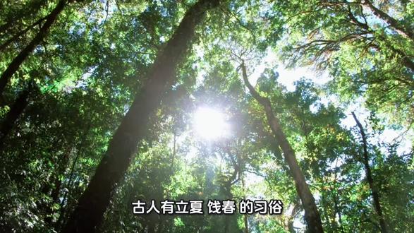 古人有立夏“饯春”的习俗,以下哪句诗的情感与“饯春”最为接近
答案:无可奈何花落去
立夏时节,江浙一带的人们通常会摆酒宴送春归去,俗称“饯春”。古人送别春天,总带有淡淡的惜春之感。晏殊笔下“无可奈何花落去”一句,抒发的正是对春光易逝、时光不再的淡淡闲愁,这与“饯春”的初衷颇为契合。